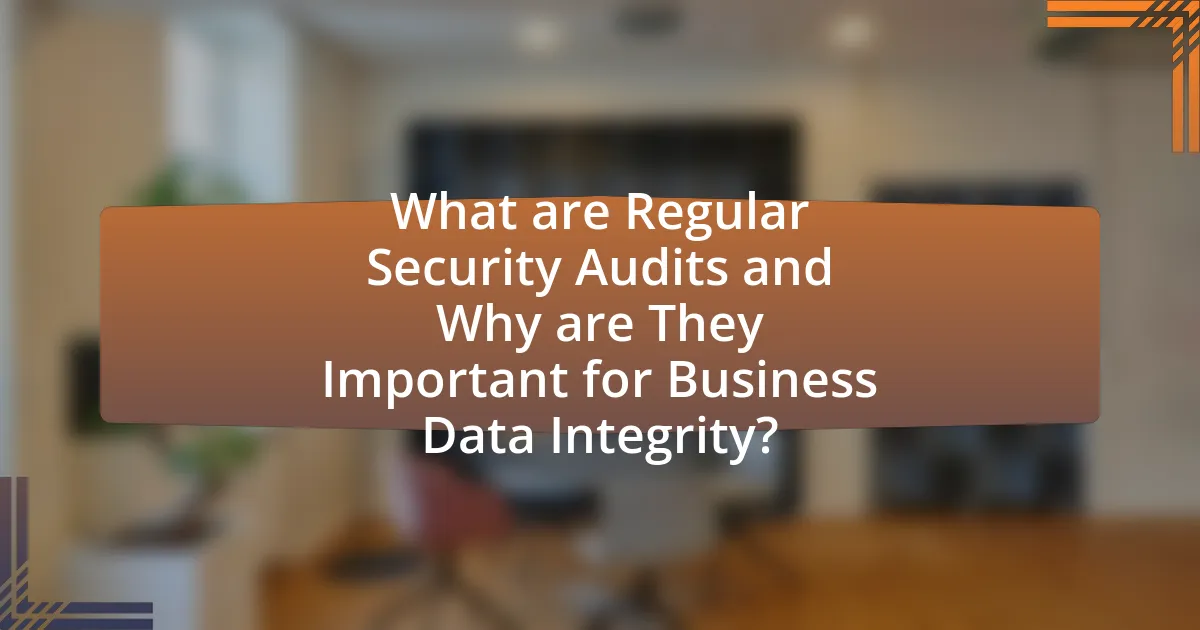 What are Regular Security Audits and Why are They Important for Business Data Integrity?