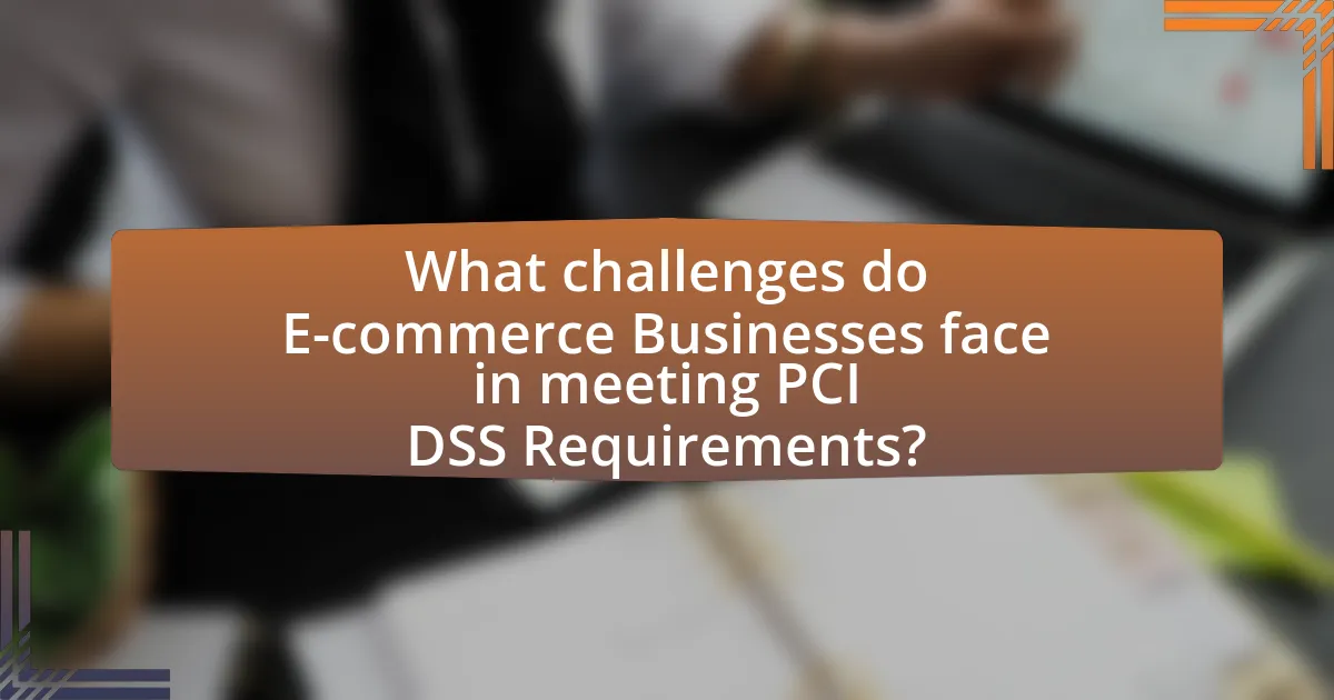 What challenges do E-commerce Businesses face in meeting PCI DSS Requirements?